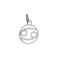 Load image into Gallery viewer, pisces,Zodiac Pendant, Astrology Jewelry, Zodiac Charm, Zodiac Jewelry,